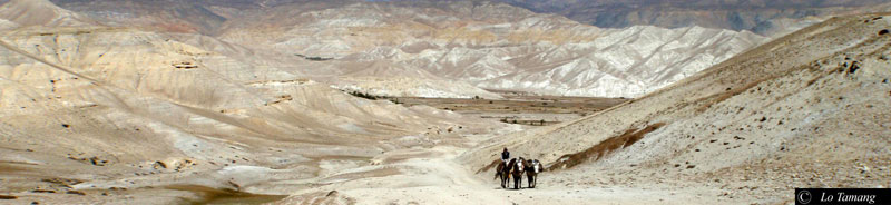 Customized Trips